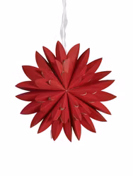 Hyacint star – Röd 50cm – Red