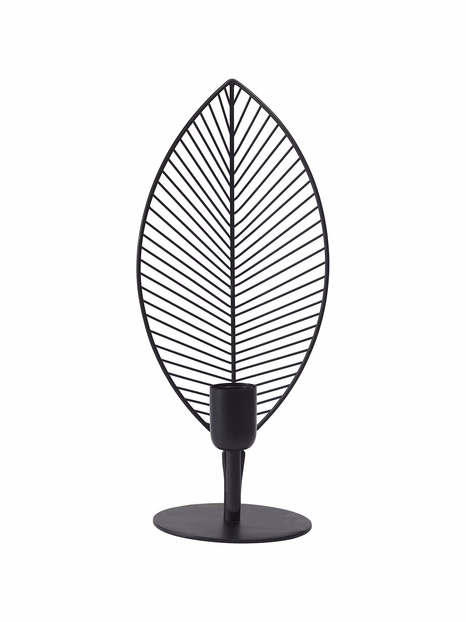 Elm bordslampa M