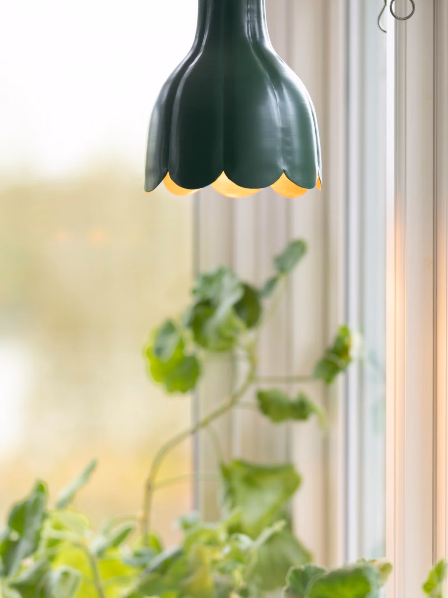 Tulippa tak/fönster Grön 17cm