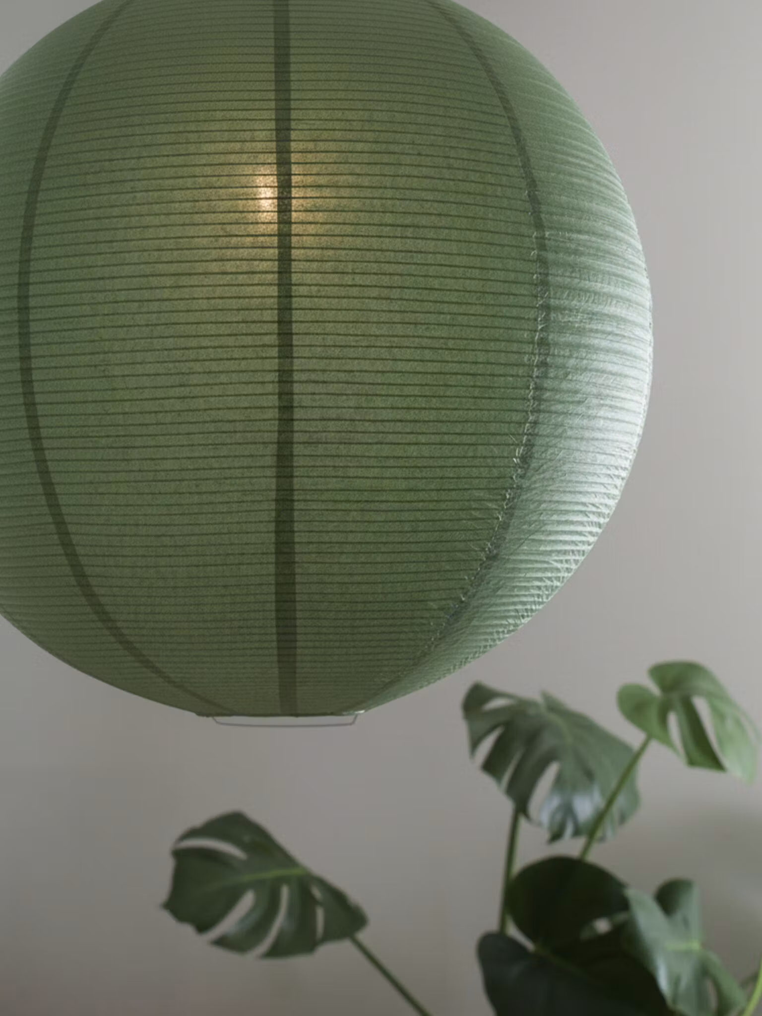 Haru Takskärm Grön 50cm