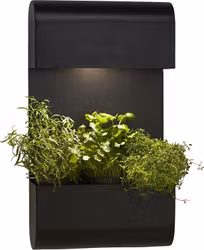 Planta vägglampa Svart, 70x40cm