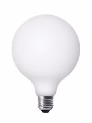 Matte Opal LED Fil Globe 125mm