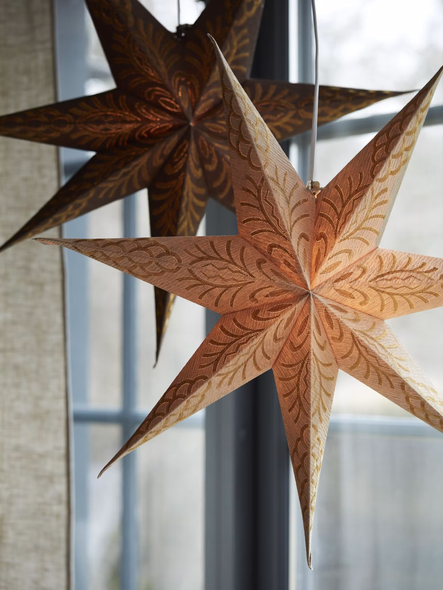 Celeste star Golden sand 60cm
