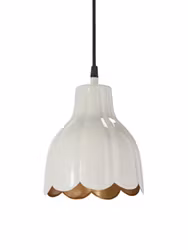 Tulippa Tak/fönster Beige 17cm