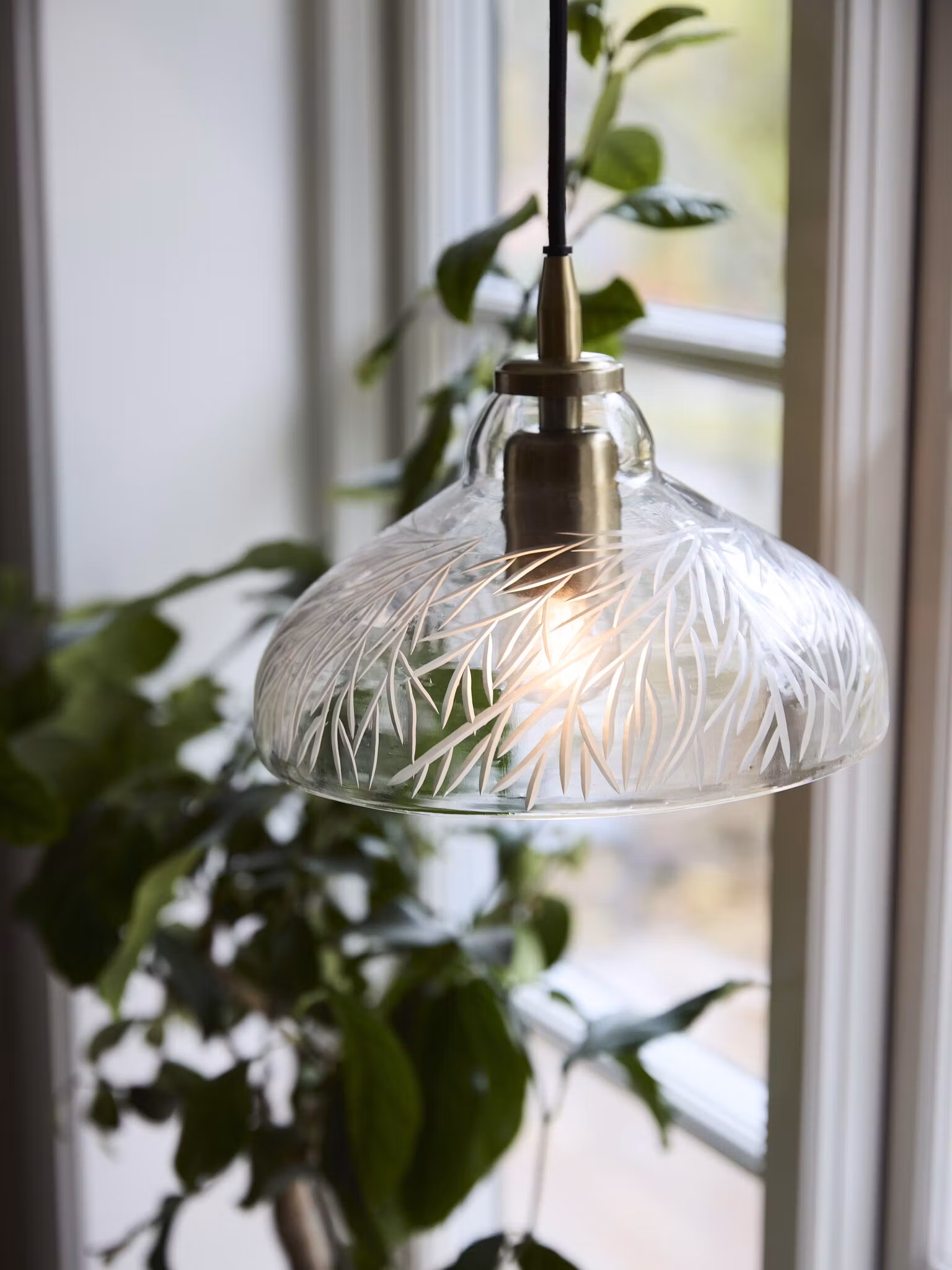 Maple Taklampa Klarglas 23cm