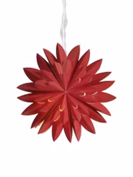 Hyacint star Röd 50cm