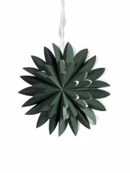 Hyacint star Grön 50cm