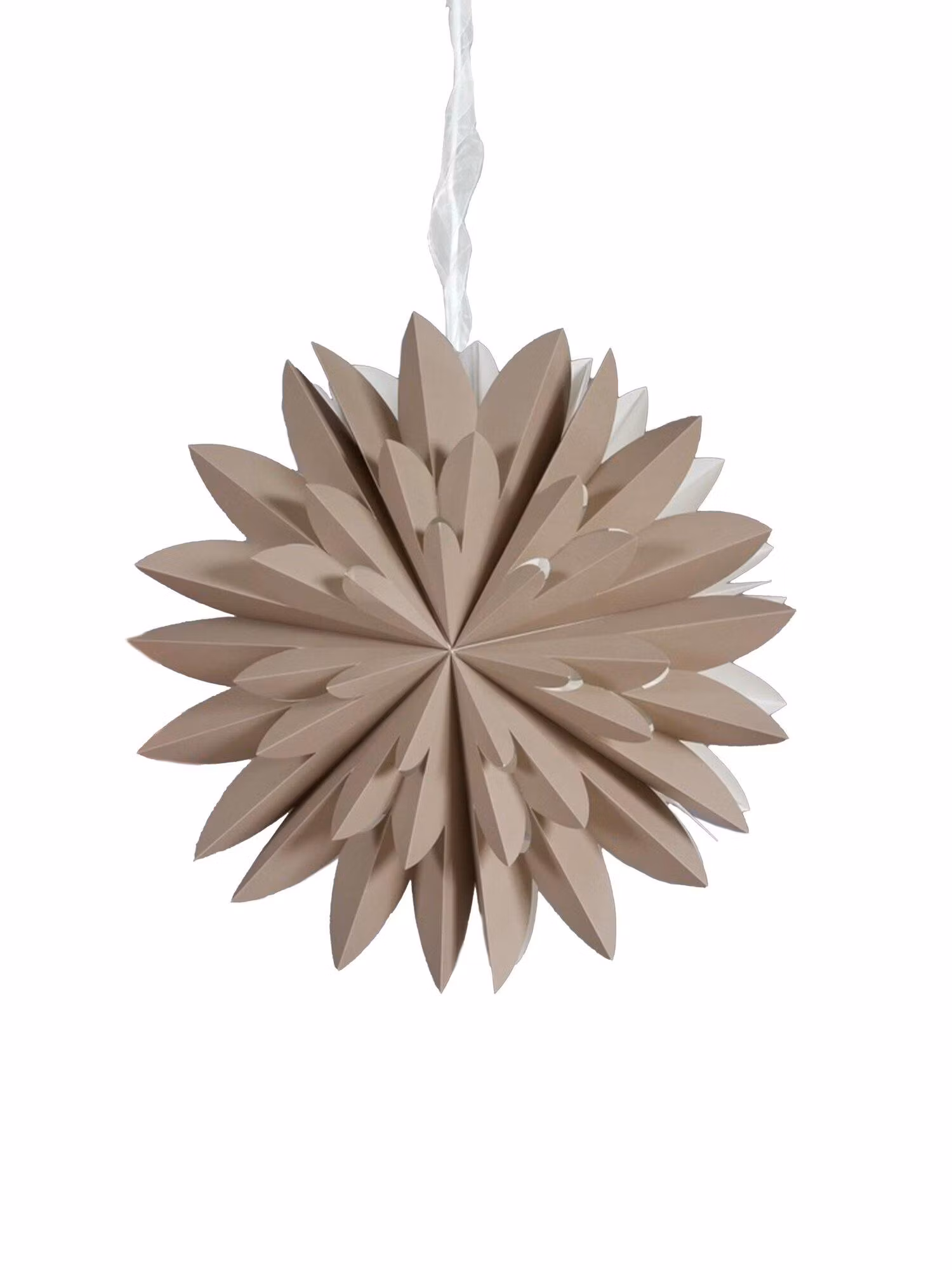 Hyacint star Beige 50cm