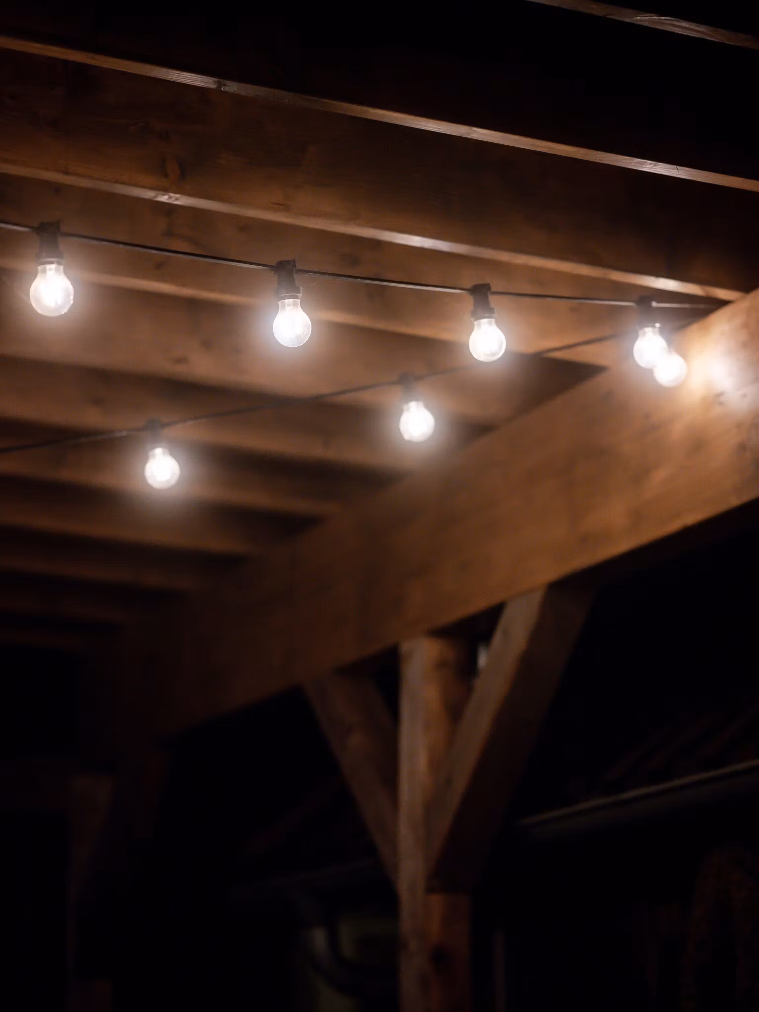 Bright light Pkt inkl. clear bulbs
