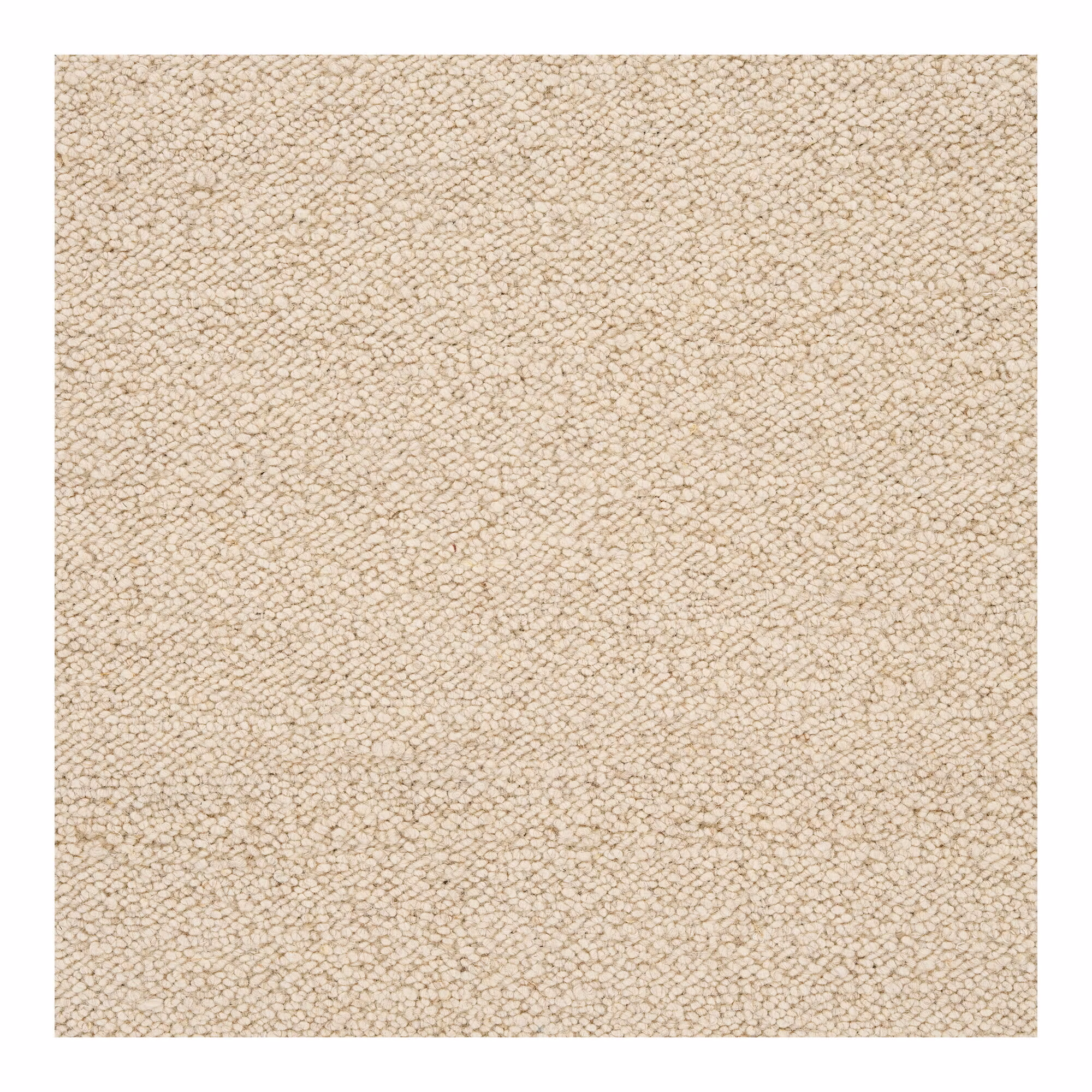 Bela Rug
