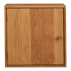 Townsville Wall Shelf with door