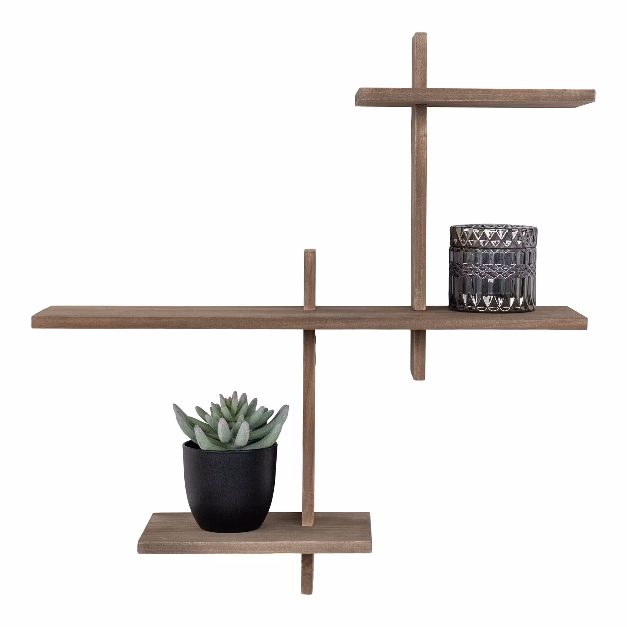 Gavi Shelf
