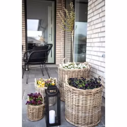 Caor Baskets