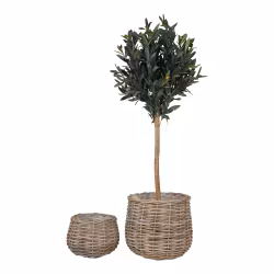 Pulo Baskets