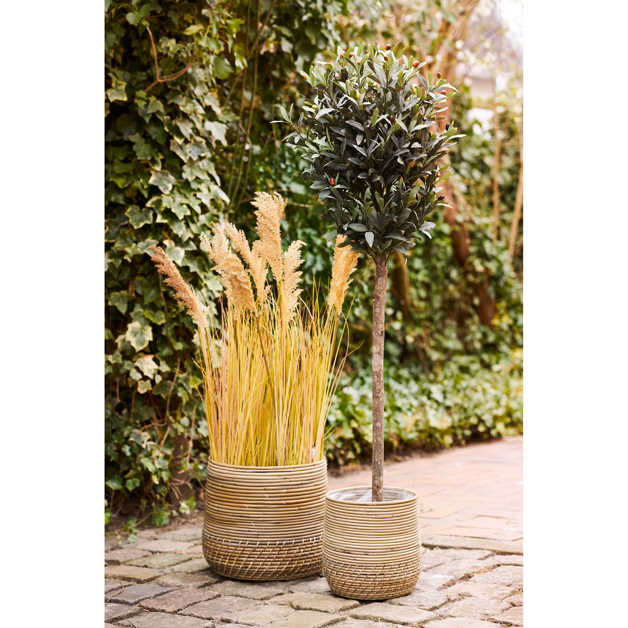 Moro Baskets