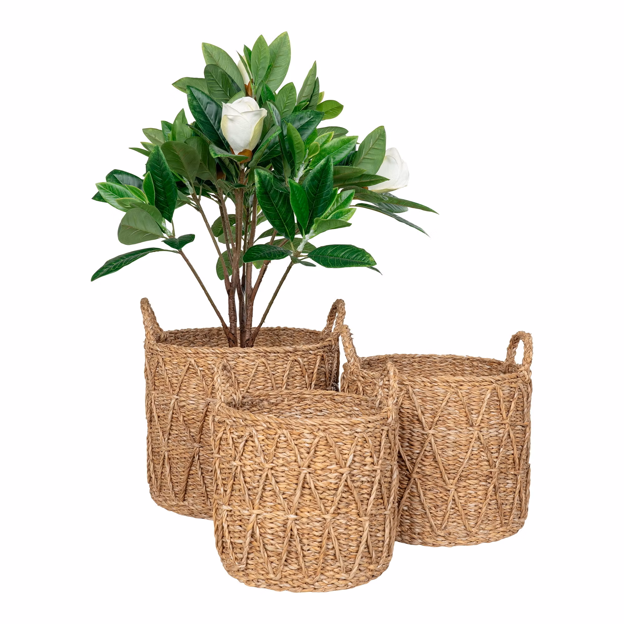 Krabi Baskets