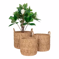 Krabi Baskets