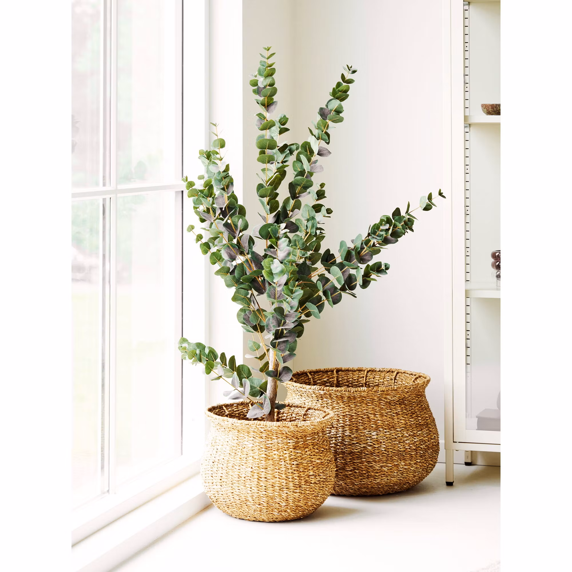 Eden Baskets