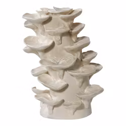 Decoration