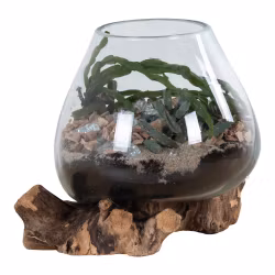 San Marino Waterdrop