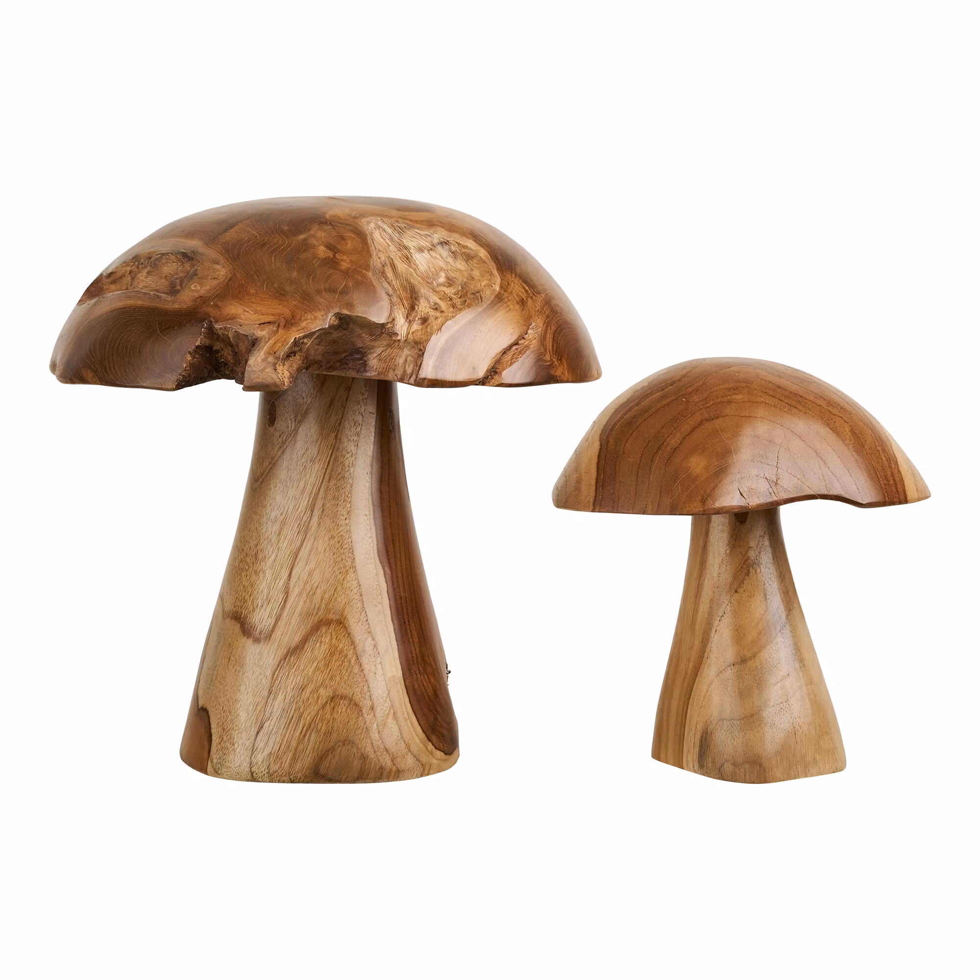 Kodi Decoration Mushrooms
