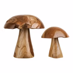 Kodi Decoration Mushrooms