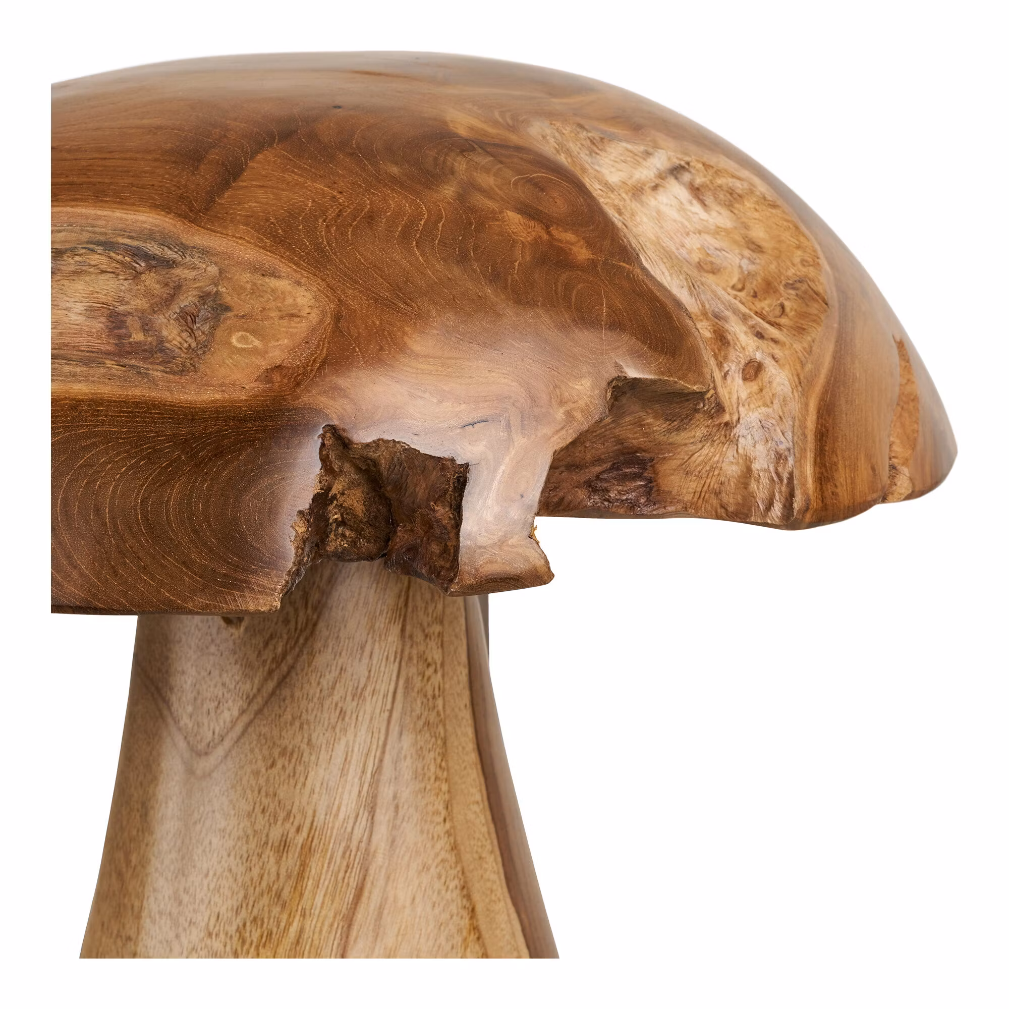 Kodi Decoration Mushrooms