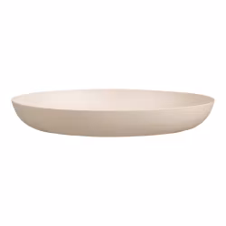 Tray