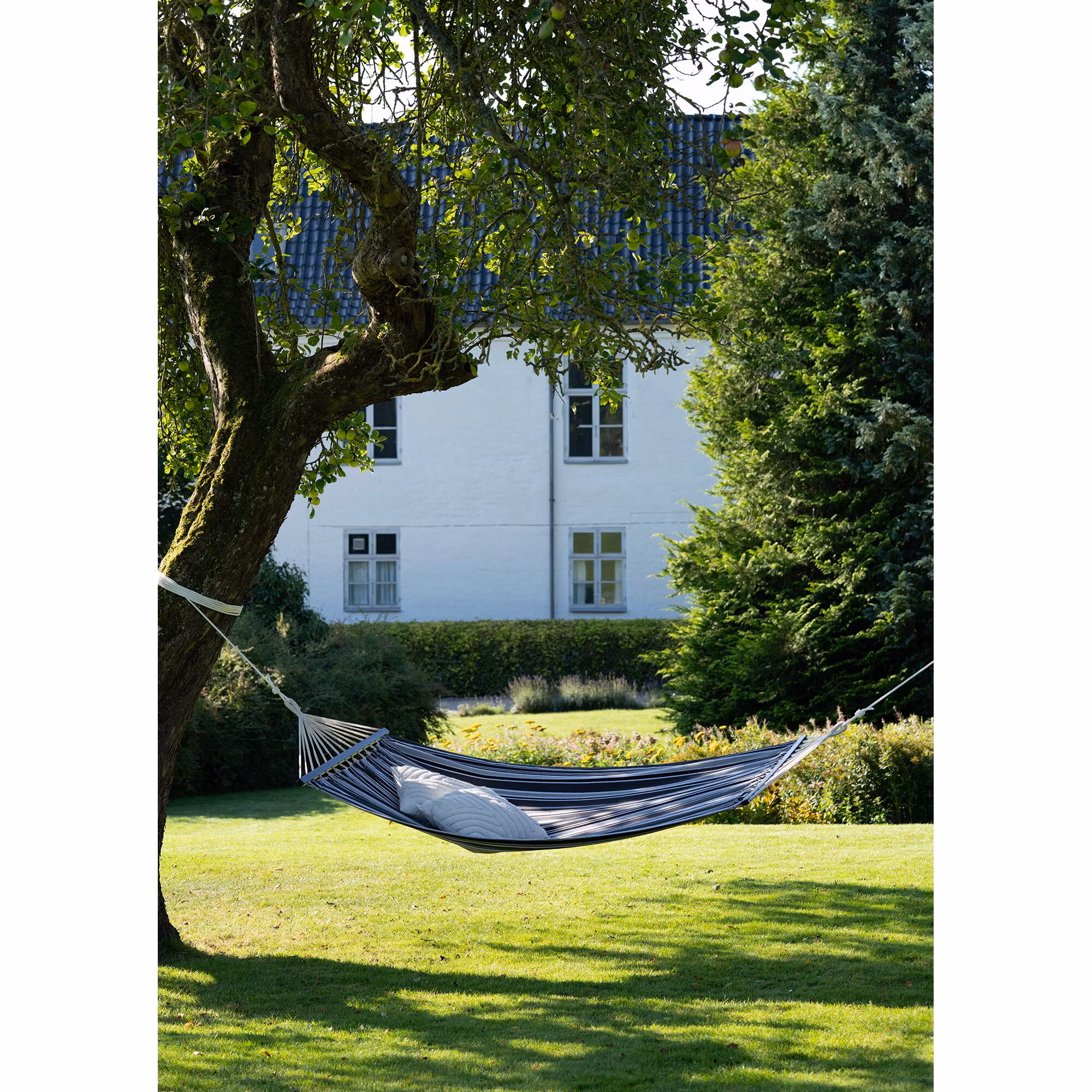 Lamia Hammock