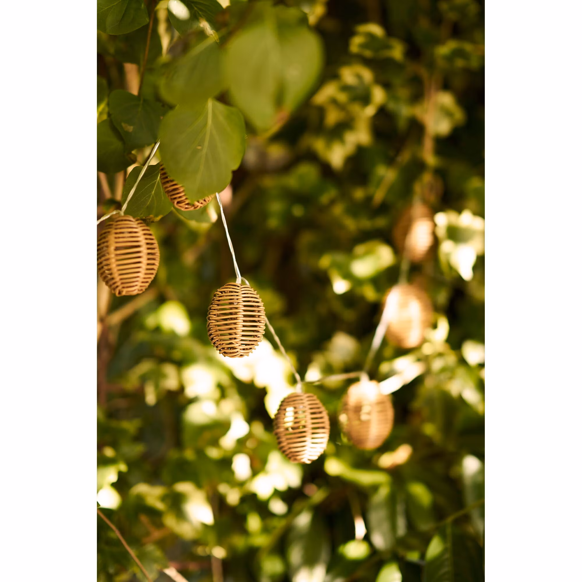 Carlisle LED String Light