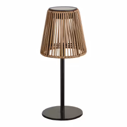 Salford Lamp