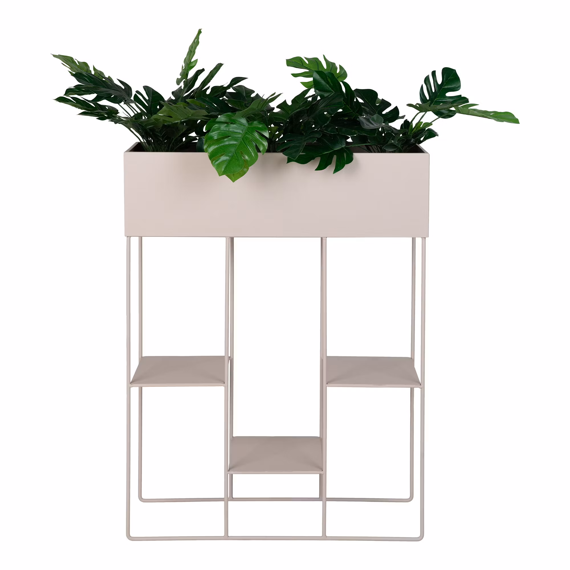 Rabo Planter
