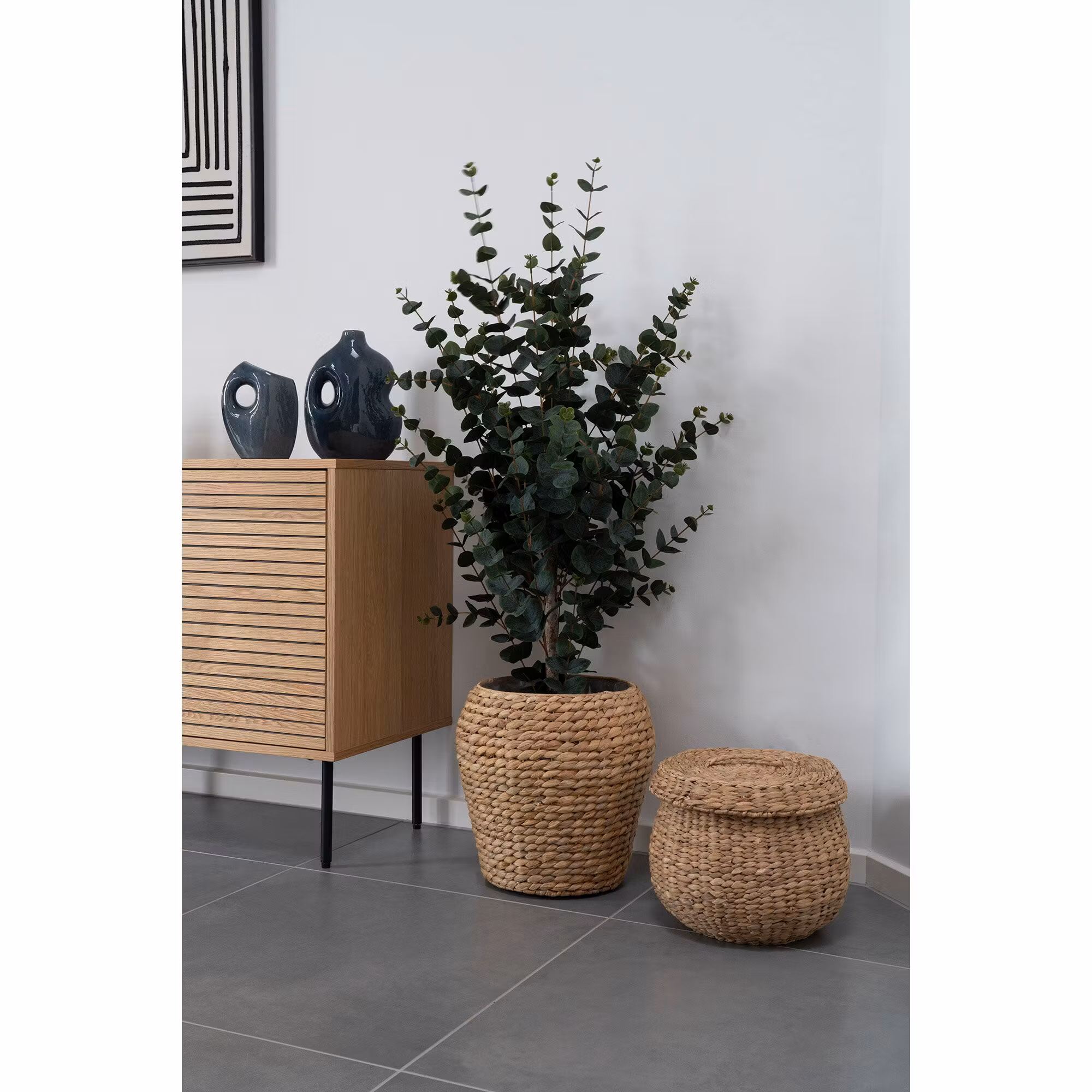 Eucalyptus Tree