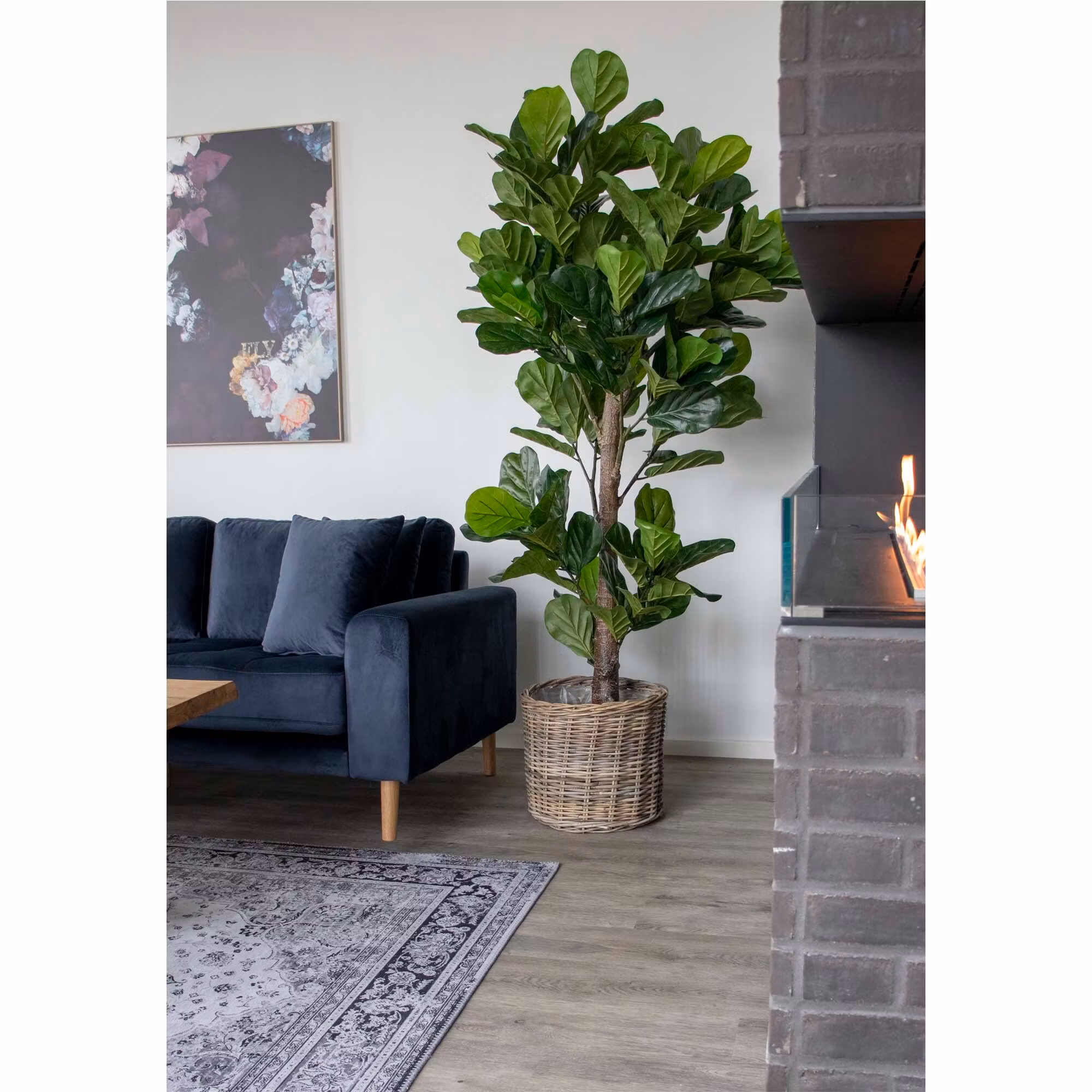 Fiddle Leaf Tree