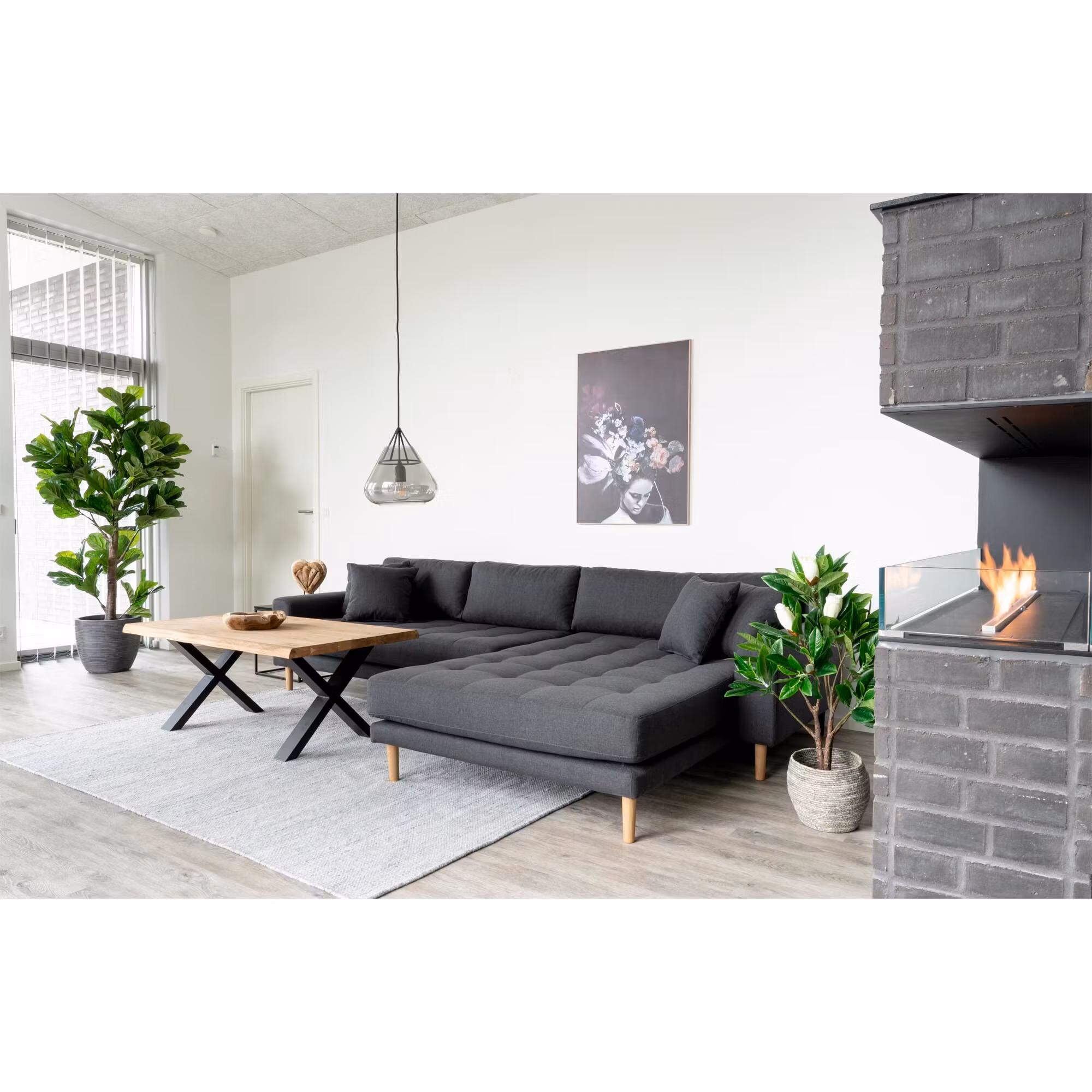 Fiddle Leaf Tree
