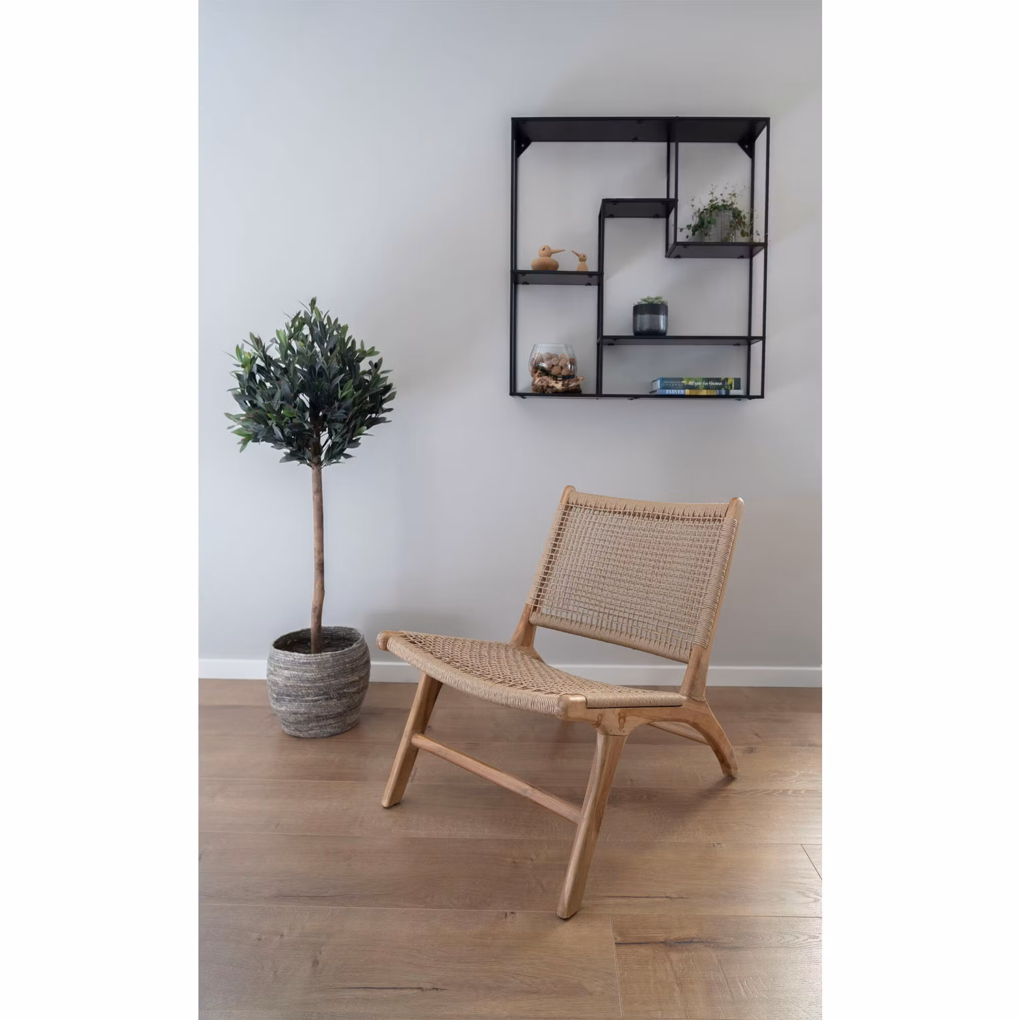 Olive Tree