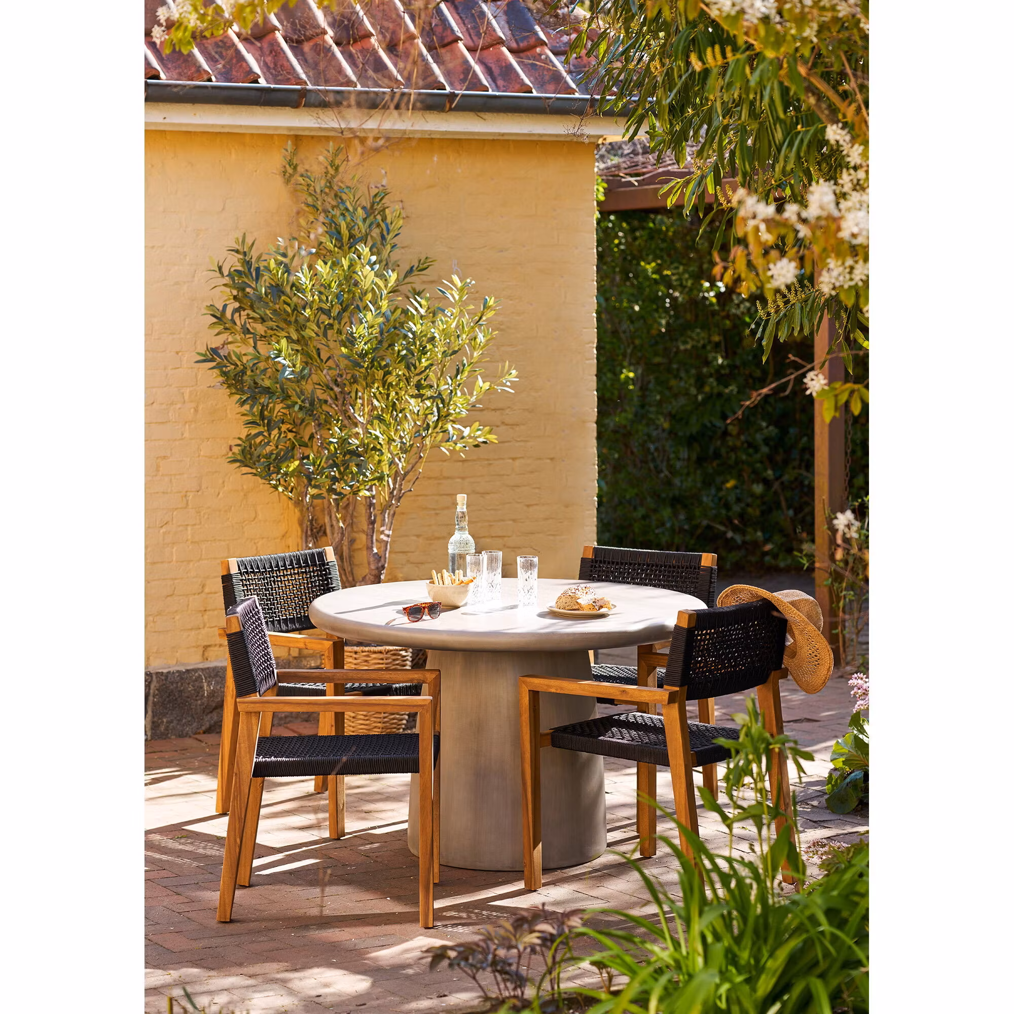 Olive Tree