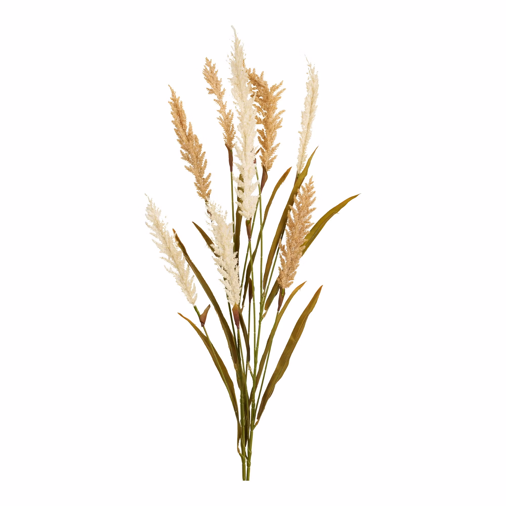 Decorative Grass