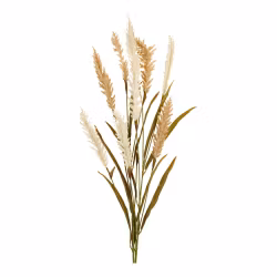 Decorative Grass