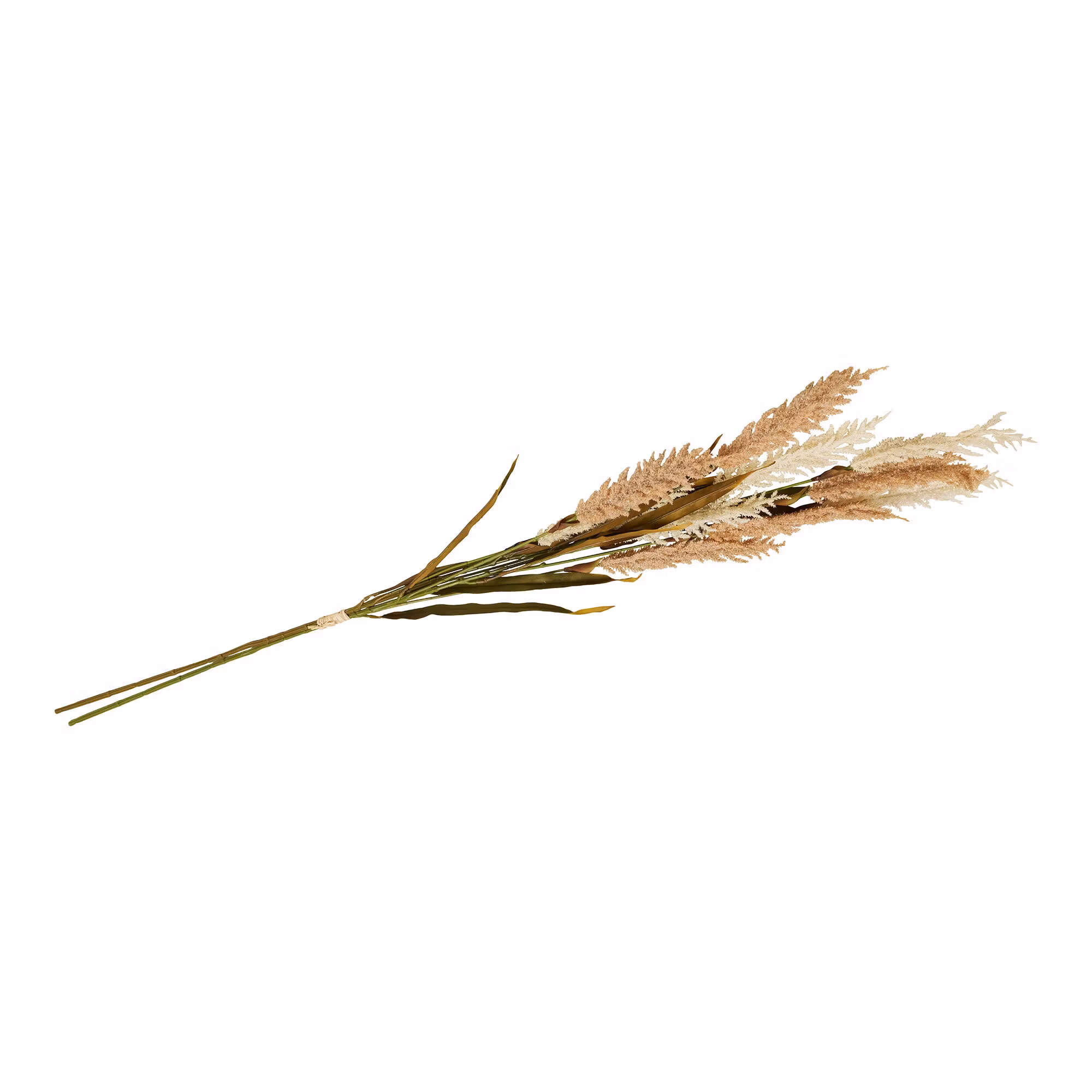 Decorative Grass