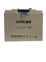 Batteri 6-EVF-80