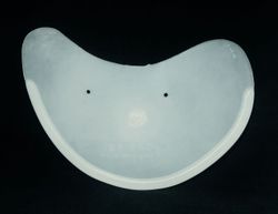 Briggo Flap