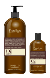 Frequent Use Shampoo