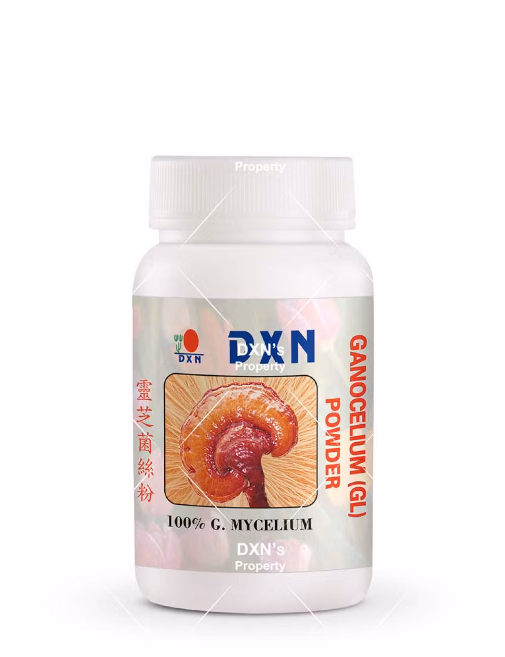 reishi mushroom