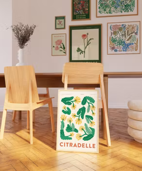 Poster Citradelle