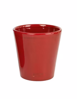 Liten blomkruka-röd