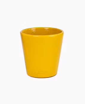 Liten blomkruka-gul