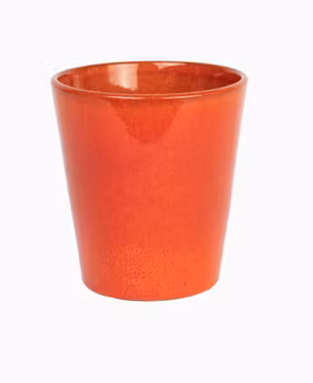 Stor blomkruka-mandarin