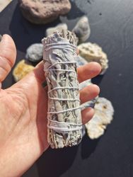 Salvia bunte, white sage. Ca 20g, 12 cm.