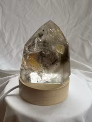 Fantastisk bergkristall spets med Lodolit och golden healer